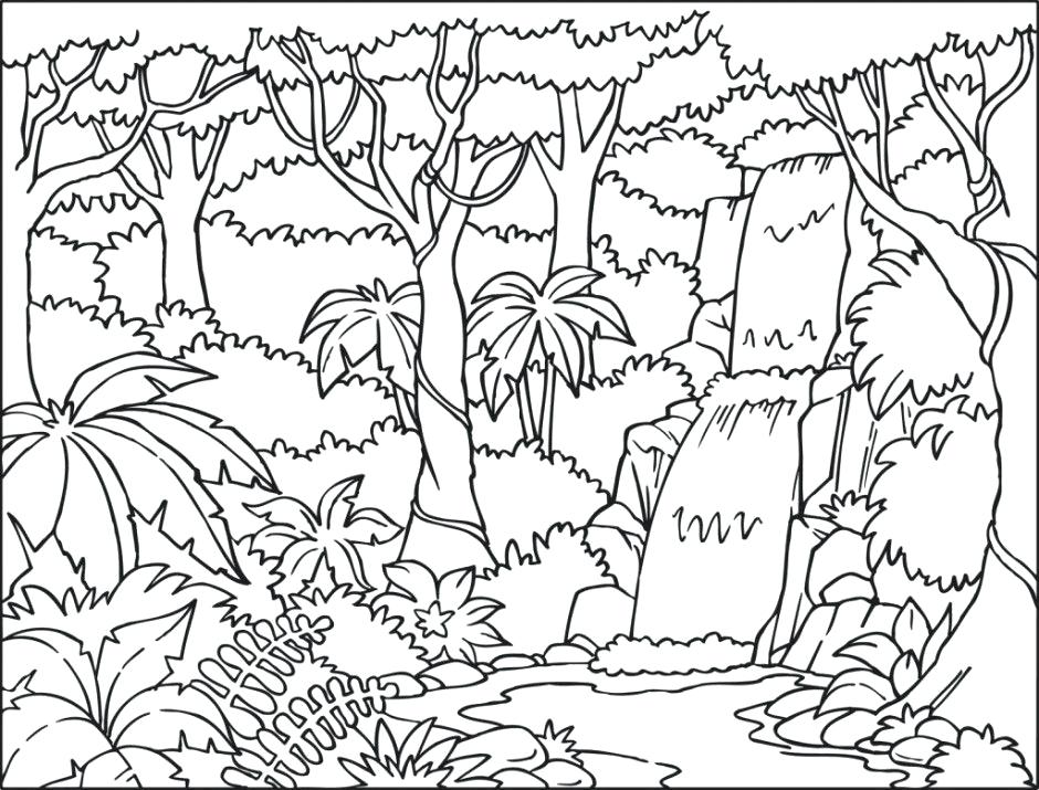 940x715 Rainforest Coloring Pages Perfect Coloring Pages Rainforest