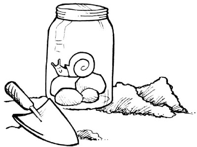 400x300 Look For Insects In The Rain Howstuffworks