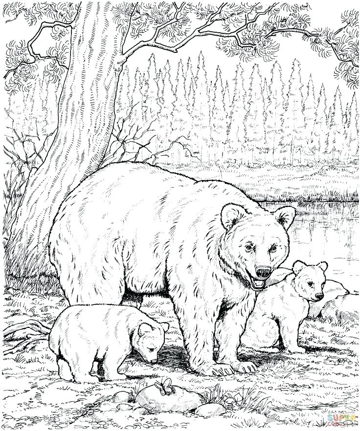736x882 Grizzly Bear Coloring Pages Bears Coloring Pagesre Great