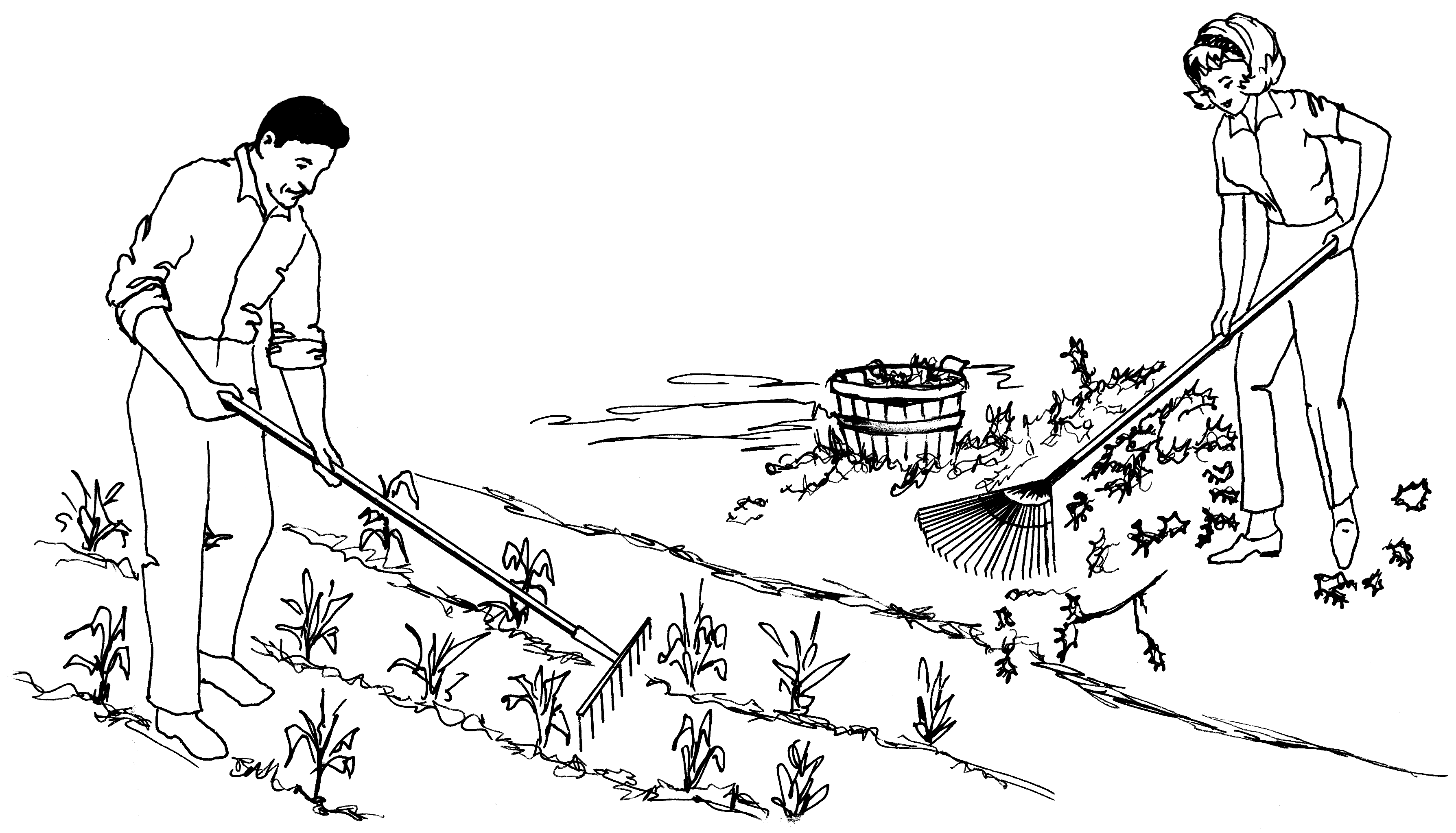 3578x2048 Filerake (Psf).png