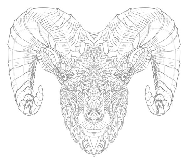 600x525 Ram Head (Tattoo Design) On Behance