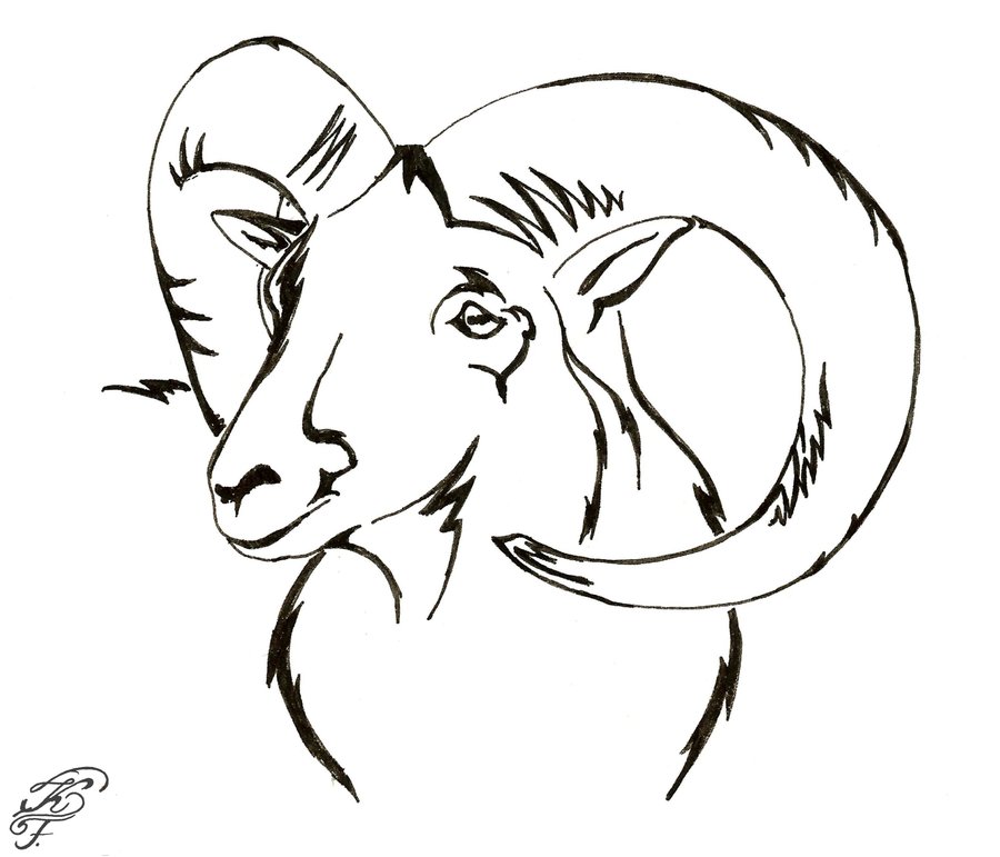 Ram Drawing at GetDrawings | Free download