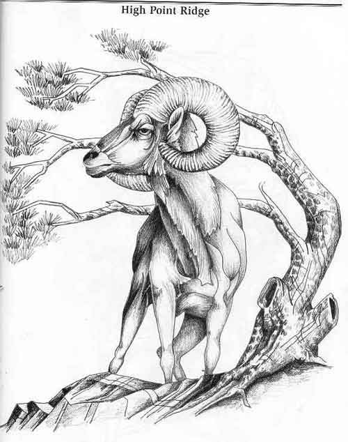 500x634 Ram Drawing By Lora S. Irish Projects To Try
