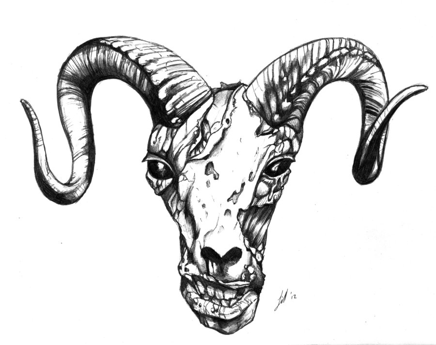 900x712 Ram Head For Tattoo By O0ochapso0o