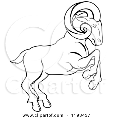 450x470 Free Clipart Ram