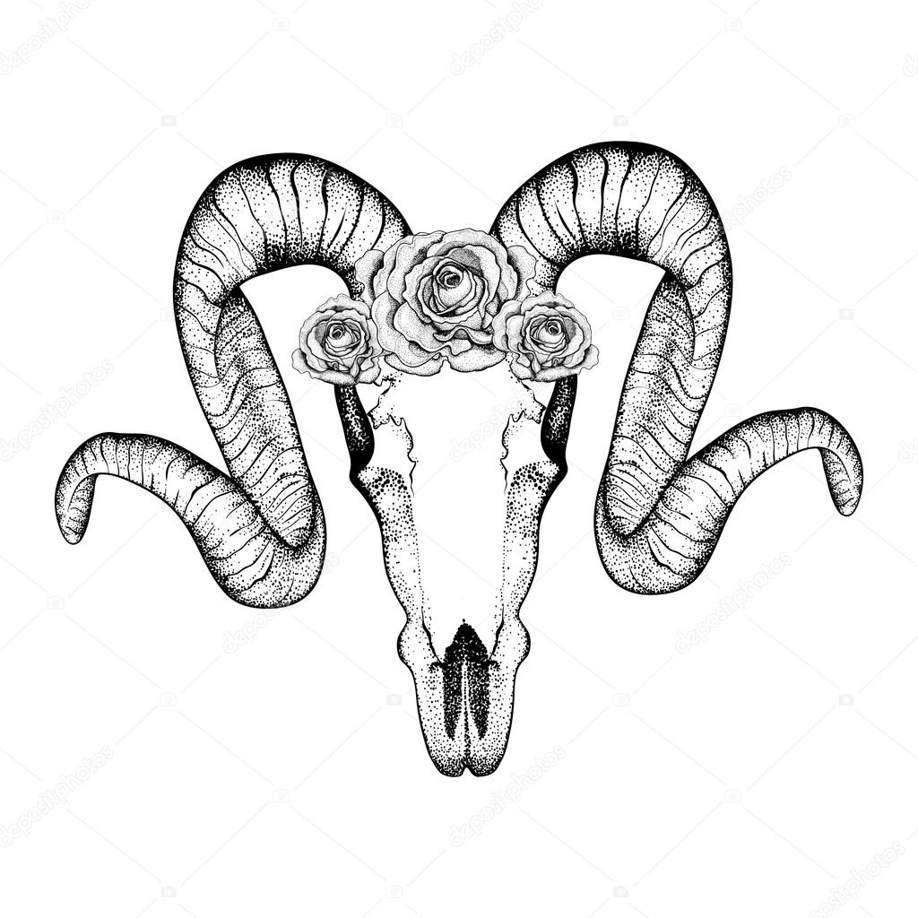 1024x1024 Hand Drawn Goat Skull With Roses Doodle Vector Illustration. Do