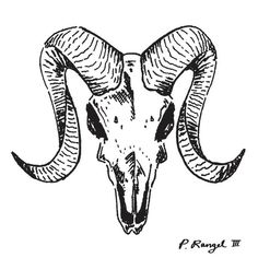 236x236 Ram Skull Watercolor On Paper (Black Background) [297mm X 210 Mm