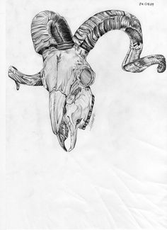 236x325 Widowed By Jeff Saunders Skull Spider Red Tattoo Canvas Fine Art