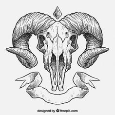 Ram Skull Drawing at GetDrawings | Free download