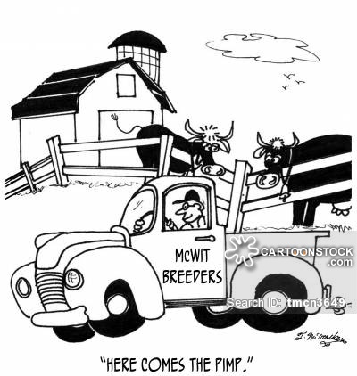 400x422 Ranch Cartoons And Comics