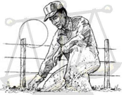 410x322 The Human Trafficking Project Peruvian Sheepherders File Lawsuit