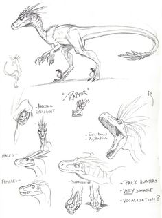 236x316 How To Draw Dinosaurs Art Tutorial Drawings