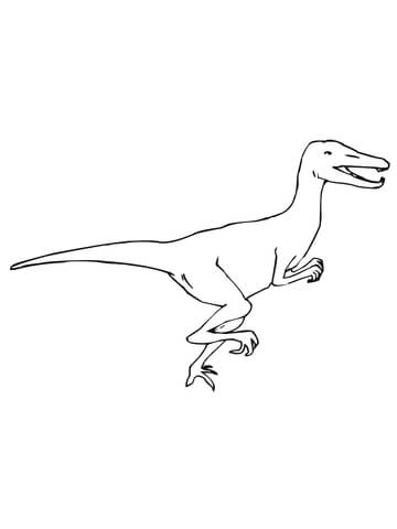 360x480 Velociraptor Dino Coloring Page Free Printable Coloring Pages