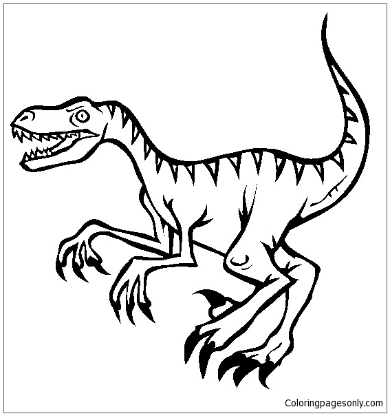 567x604 Velociraptor Dinosaur 3 Coloring Page