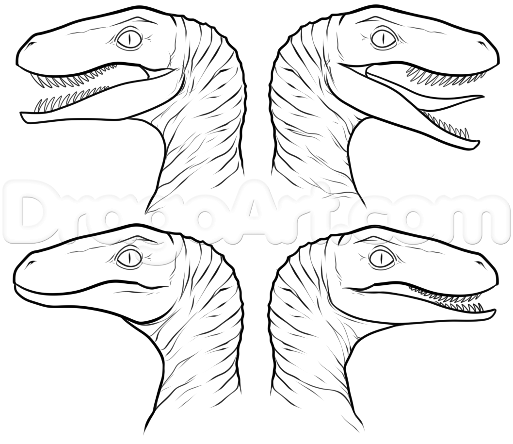 1058x915 How To Draw Raptor Squad From Jurassic World Step 6