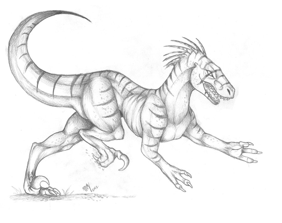 900x713 Raptor Sketch The Hunt By Suenta Deathgod