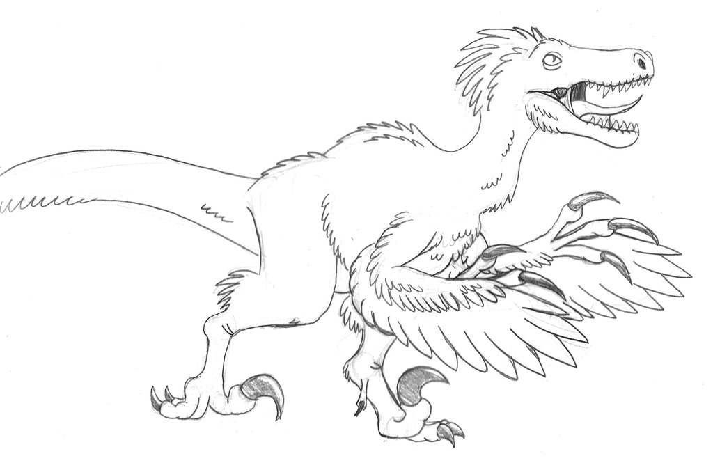 1024x665 Attacking Raptor Sketch By Tyrannoninja