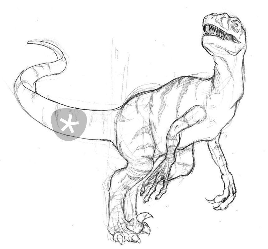 861x800 Raptor Drawing Art Prints And Posters By Patator