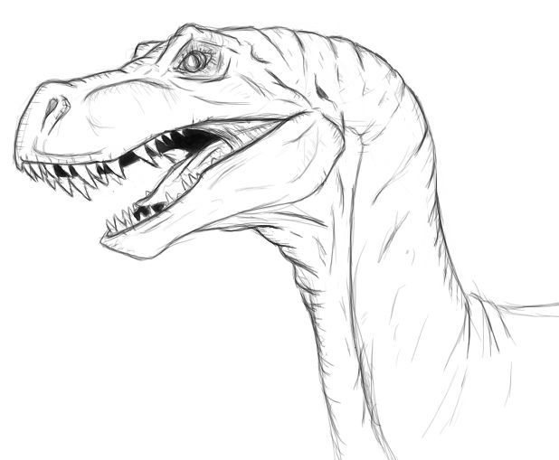 618x509 Raptor By Shimmergloom