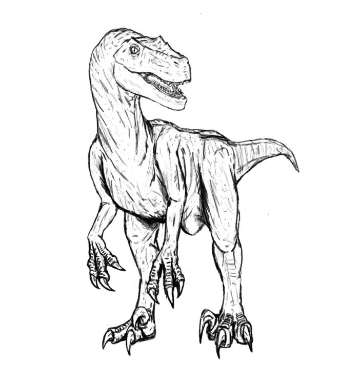 663x712 Beautiful Velociraptor Coloring Page 41 About Remodel Kids
