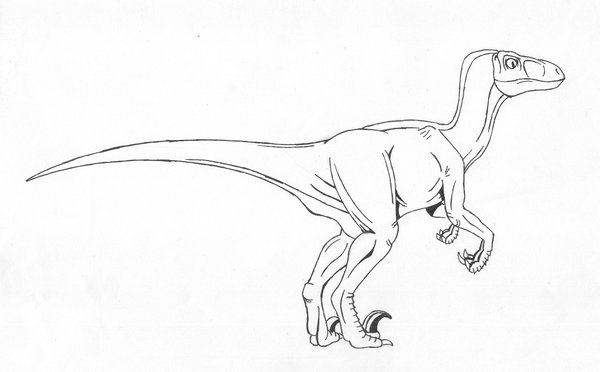 600x372 Raptor Sketch By Aspirin4o