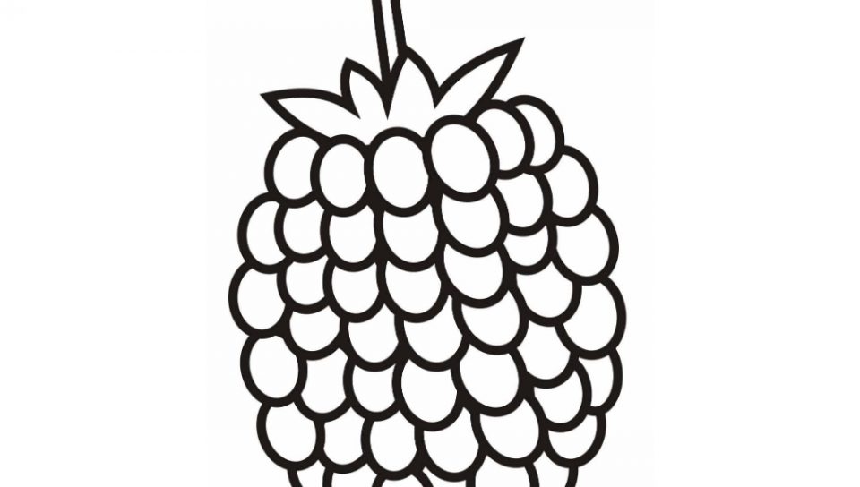 960x544 Raspberry Coloring Pages Free Printable Flowers Strawberry
