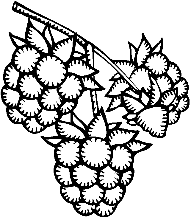 642x738 Raspberry Clipart Black And White