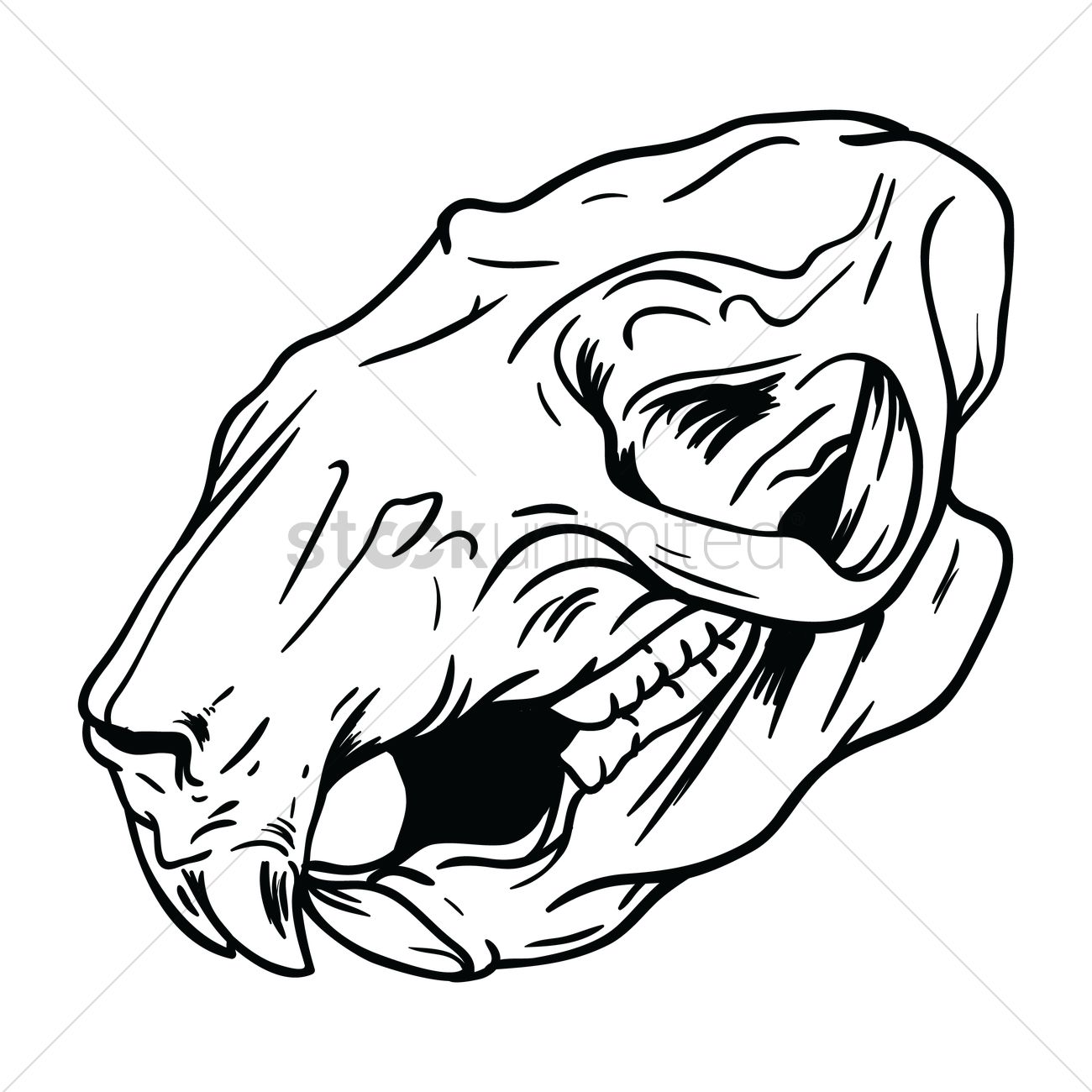 1300x1300 Free Rat Skull Vector Image