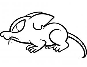 302x231 How To Draw How To Draw A Rat For Kids
