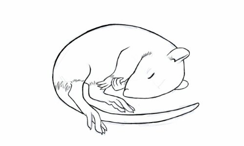 500x300 My Trashy Stuff A Blog About Drawing, Painting,photoshoping