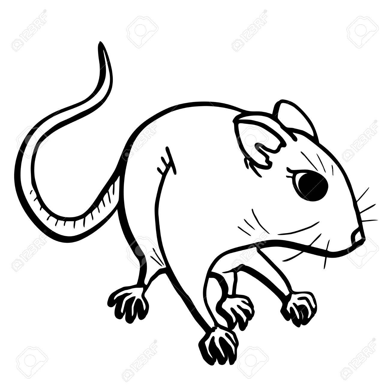 1300x1300 Rat Draw Royalty Free Cliparts, Vectors, And Stock Illustration
