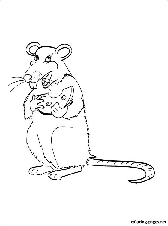 560x750 Rat Coloring Page Coloring Pages