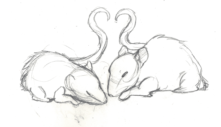 900x518 Rat Love. By Ichewy