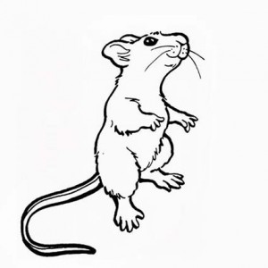 300x300 Mouse And Rat Standing On Two Feet Coloring Pages Bulk Color