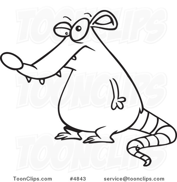 581x600 Cartoon Black And White Line Drawing Of A Fat Rat