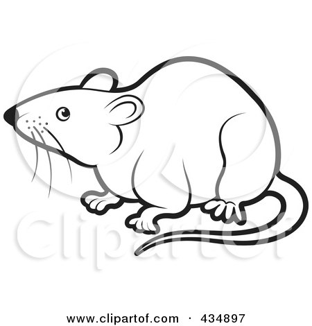 450x470 Royalty Free (Rf) Clipart Illustration Of An Outlined Rat By Lal