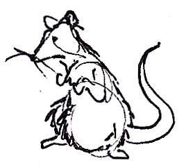 265x241 Cute Rat Drawing Clipart Panda