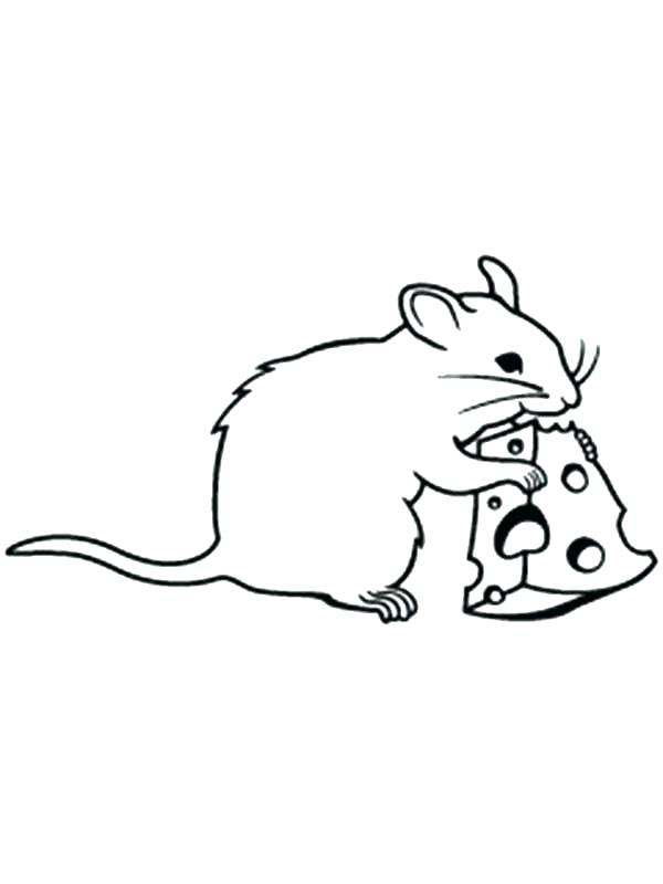600x800 Rat Coloring Page Synthesis.site