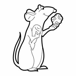 300x300 Drawing Mouse And Rat Coloring Pages Bulk Color