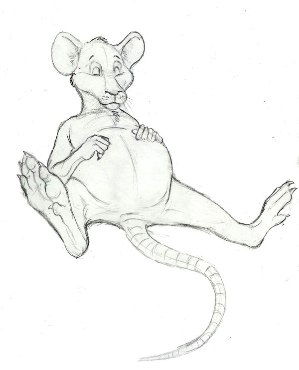 600x742 Fat Rat By Anyadserval