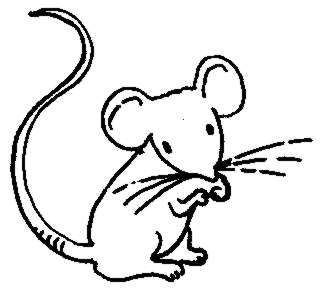 325x294 Mice Rat Cliparts