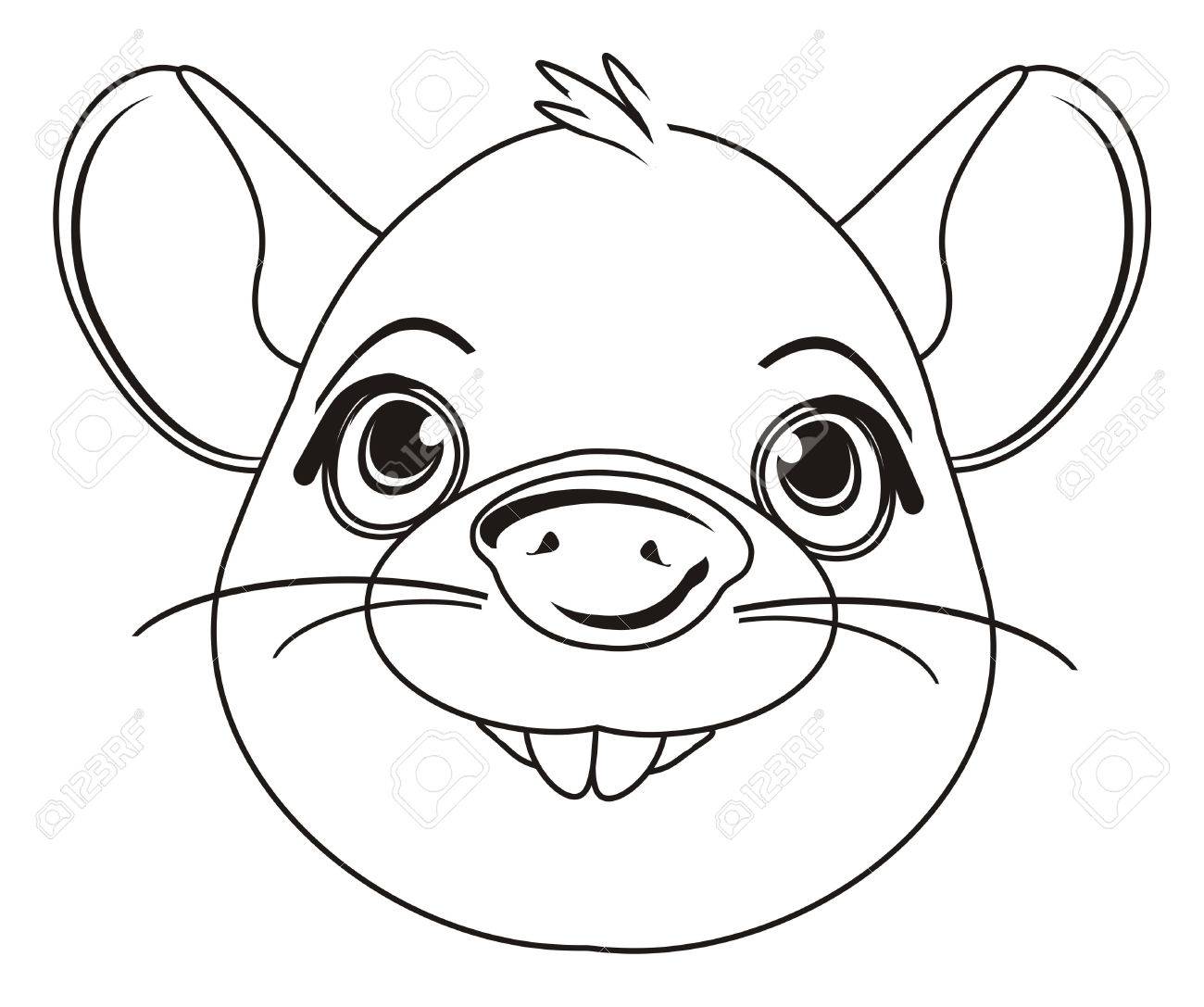 1300x1087 Coloring Snout Of Rat Stock Photo, Picture And Royalty Free Image