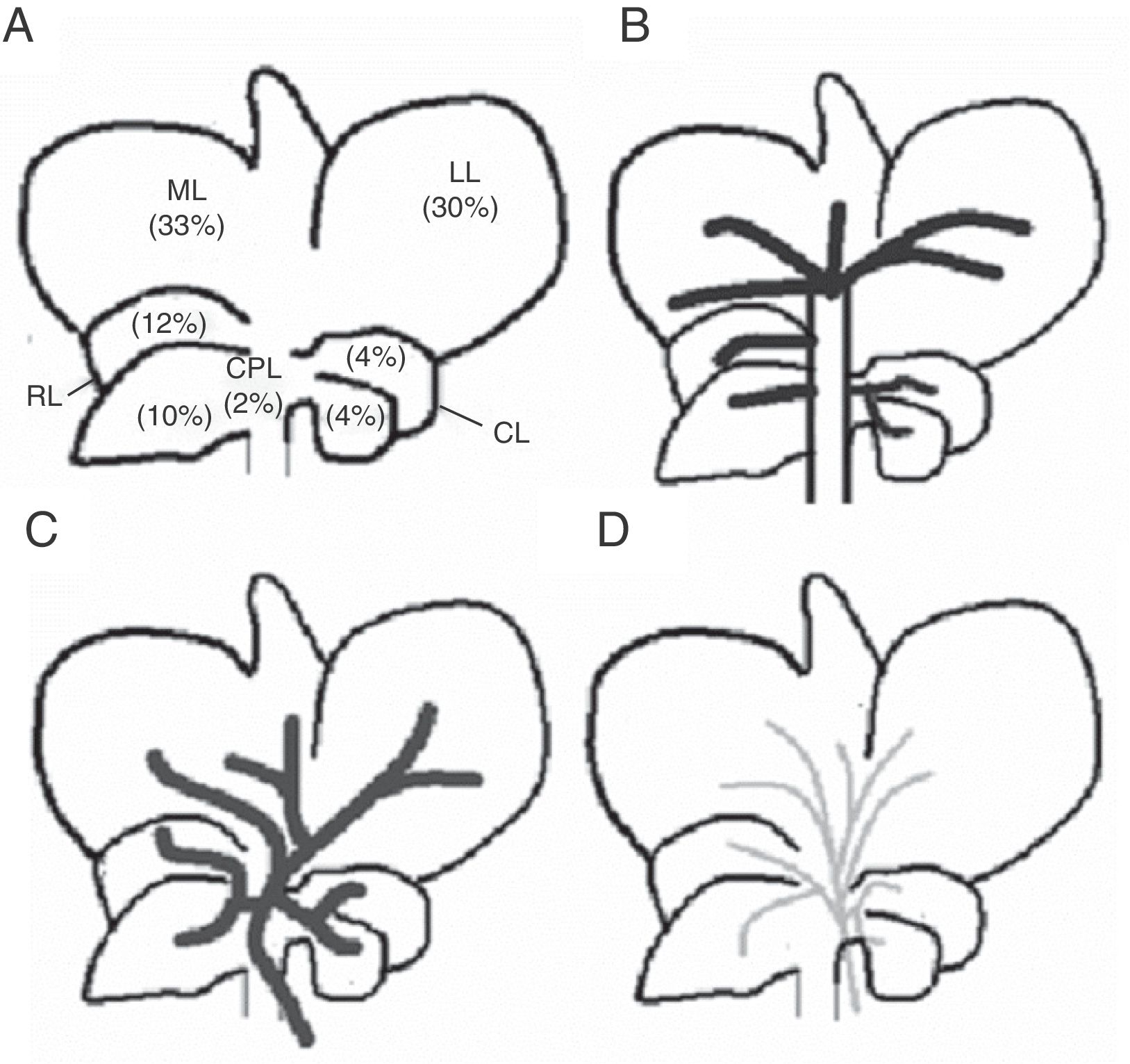 1627x1531 Development Of An Experimental Model Of Portal Vein Ligation