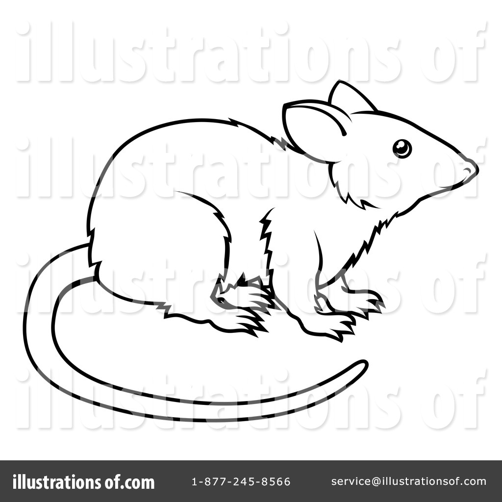 1024x1024 Rat Clipart