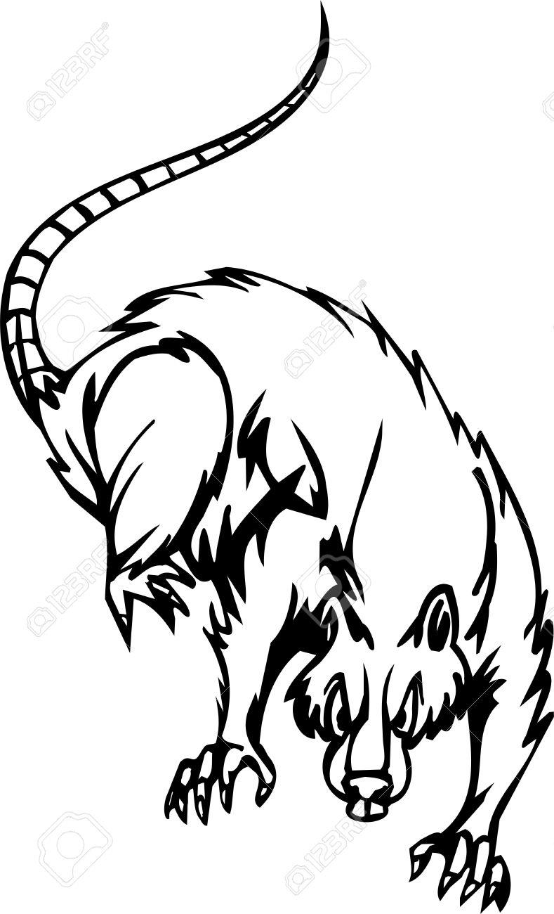 789x1300 Rat Halloween Drawings Halloween Amp Holidays Wizard