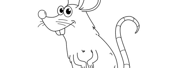 610x229 Rat Template Large