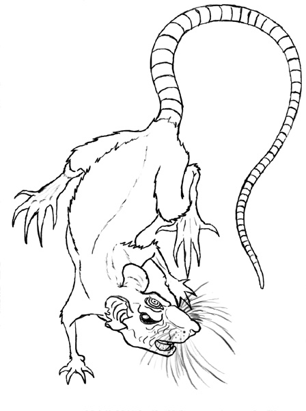 448x600 Shadow Rat Tattoo Rough Sketch By Dante Scomedy
