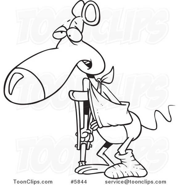581x600 Cartoon Black And White Line Drawing Of A Rat With A Cast, Sling