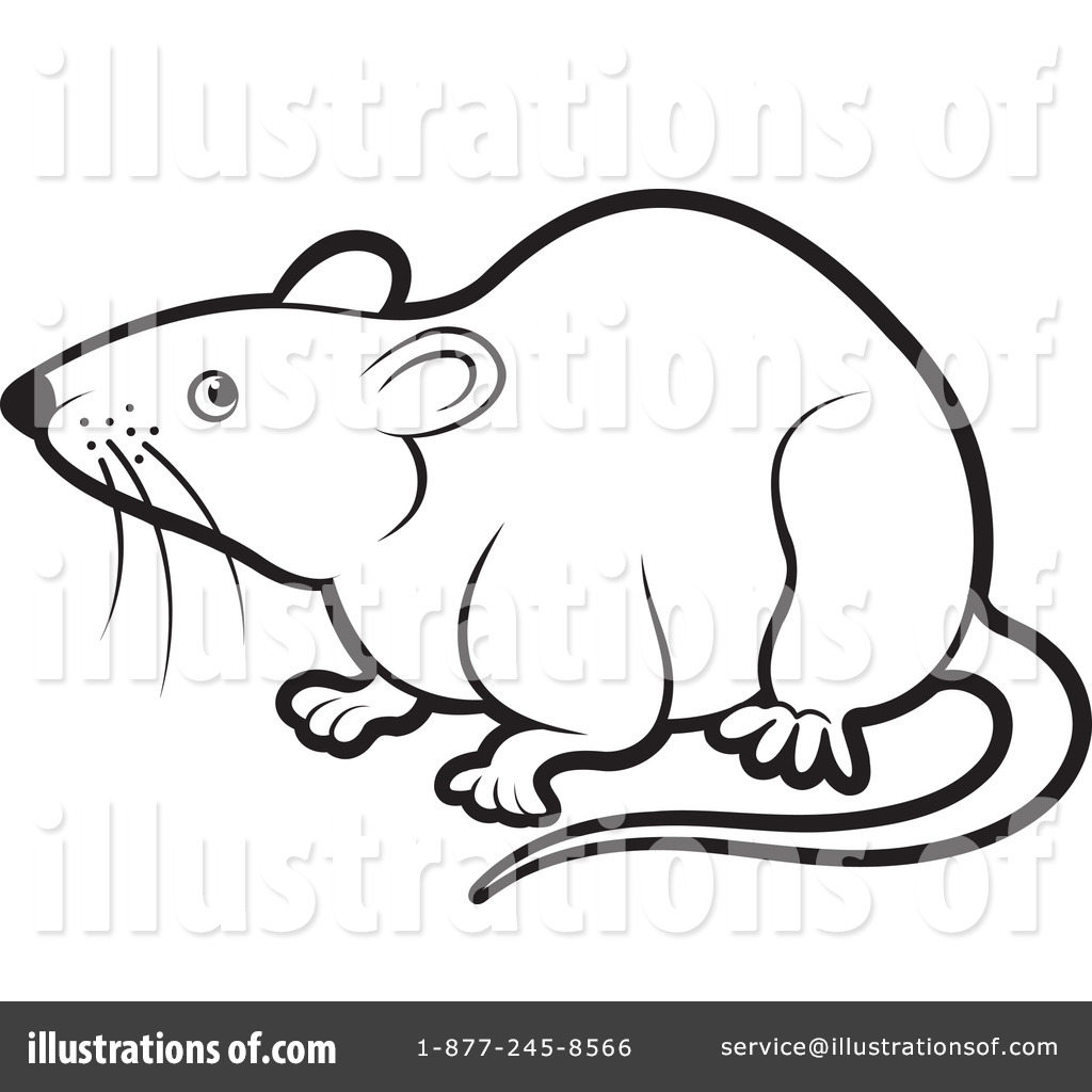 1024x1024 Clip Art Rat Pictures Clip Art