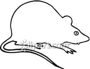 300x231 Rat Outline